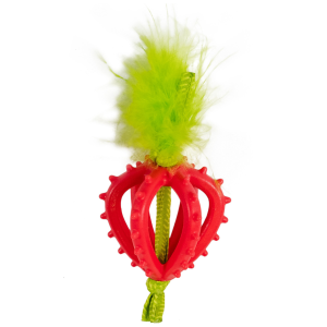 Dental strawberry teether, catnip oil
