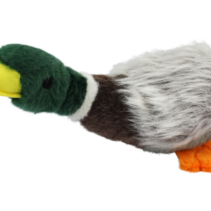 Migrator Mallard – Gräsand