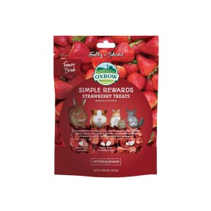 Simple rewards strawberry treats