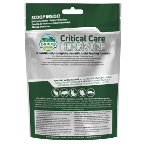 Critical Care