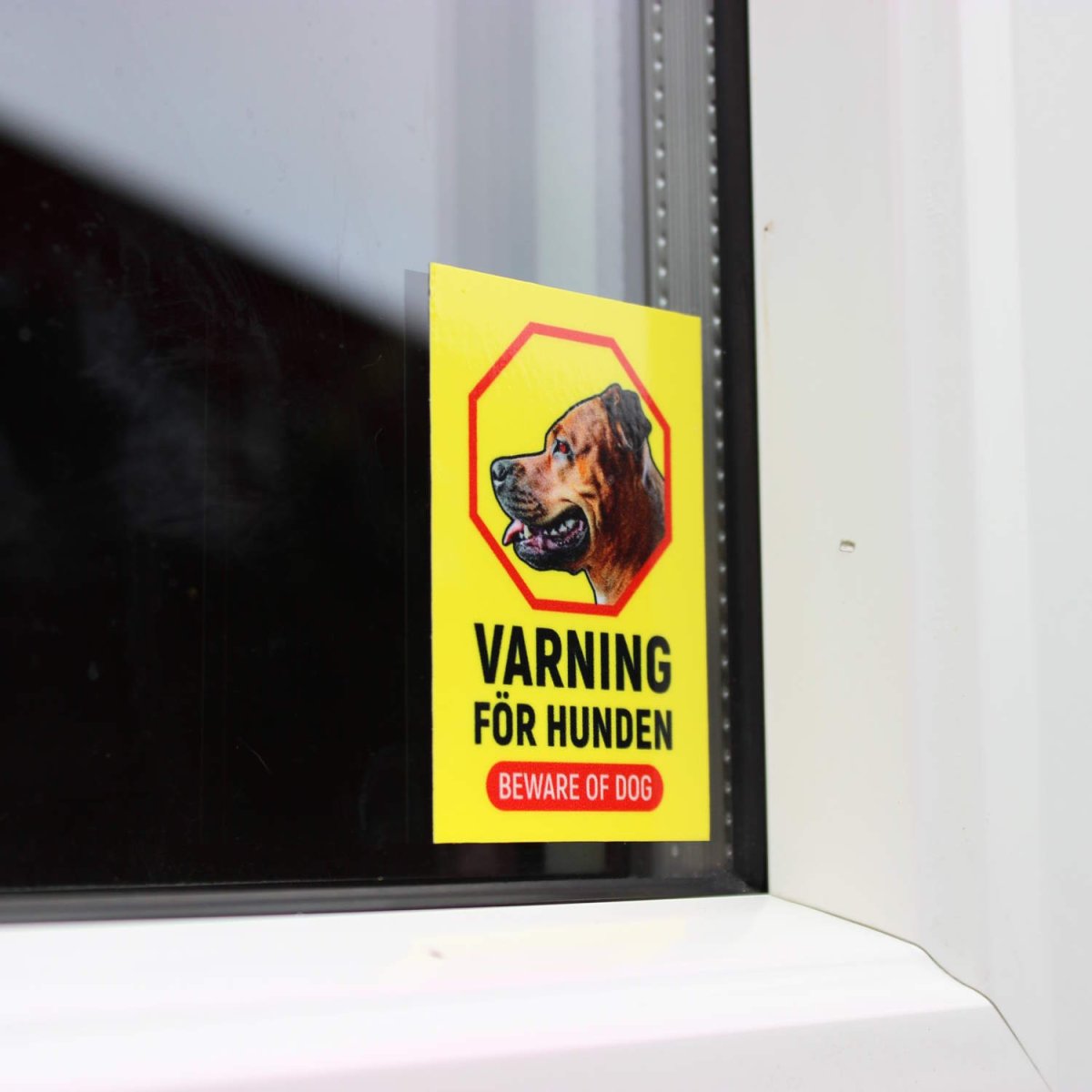 10 st Dekaler med Varning för hunden – Beware of dog (Gul/Röd/Svart) - Bild 3